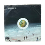 A square vinyl record sleeve for Cynosure's 'Wetlandsound' 22-inch record. The cover art features a surreal beach scene under a massive dark cave, with a white circular cutout in the center showing the green and yellow patterned center label of the vinyl record.